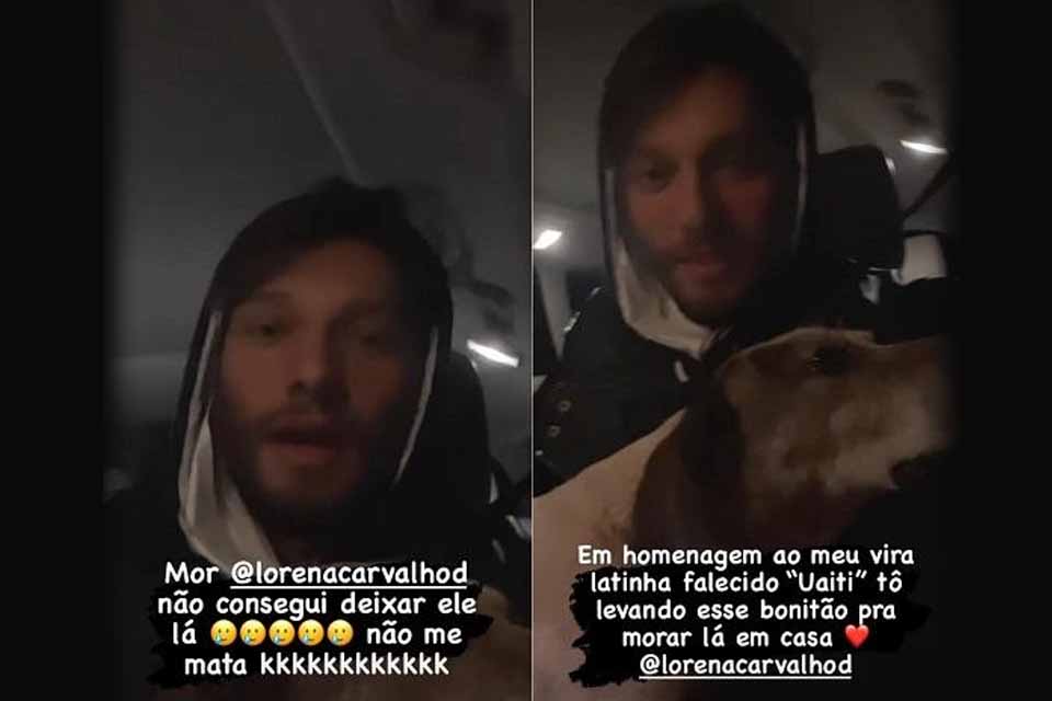Lucas Lucco adota cachorro abandonado em posto de gasolina: “Amor à primeira a vista”