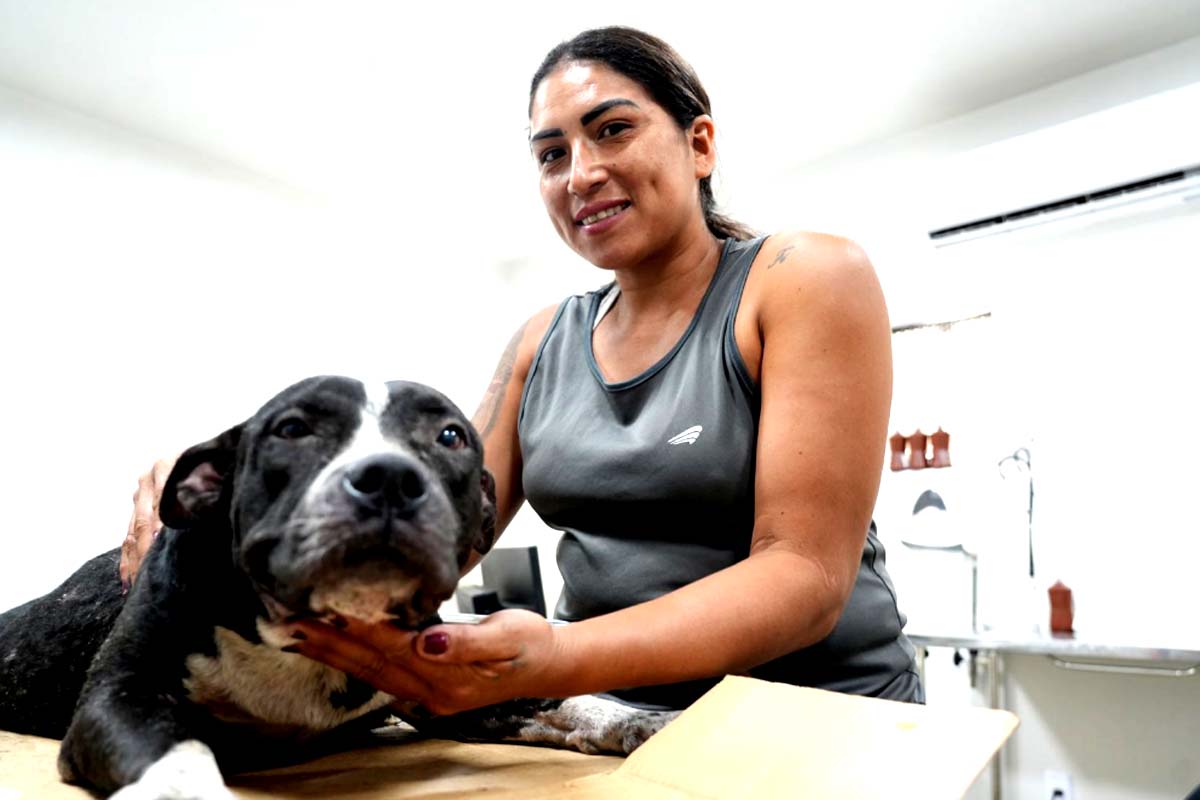 PET- Saiba como funciona o atendimento diário na Clínica Bem-Estar Animal