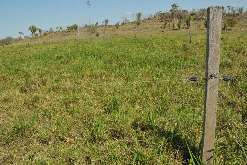 Sedam lança plataforma digital que emite autorização para uso controlado de fogo em áreas de vegetação em Rondônia