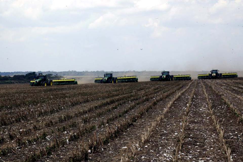 Vazio sanitário da soja vai ocorrer de forma regionalizada como prevenção a ferrugem asiática nas lavouras rondonienses