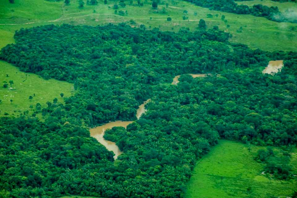 Rondônia tem redução de 35% na taxa de desmatamento entre o período de agosto de 2024 a julho de 2025