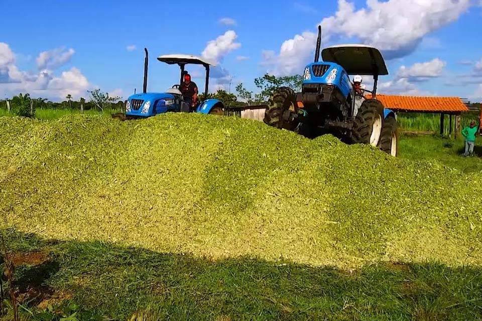 Prefeitura auxilia agricultores na produção da silagem de milho em Castanheiras