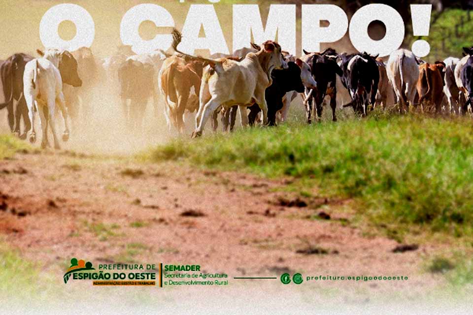 Semader realiza ações para fortalecer nosso setor primário e agricultura familiar