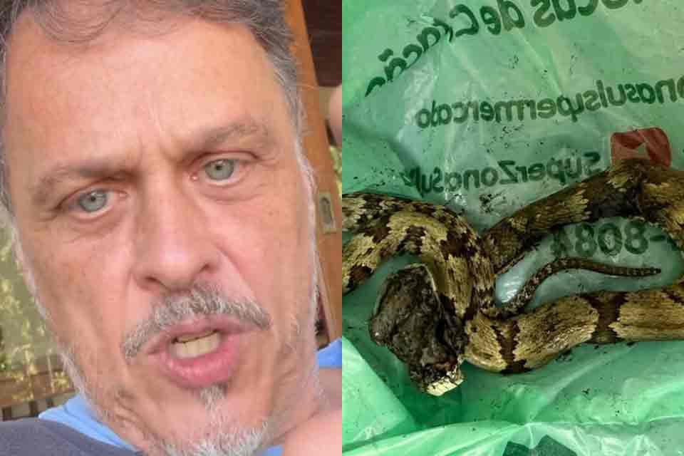 Guilherme Fontes é picado por cobra em casa e faz alerta: “Doeu tanto que nem sei explicar”