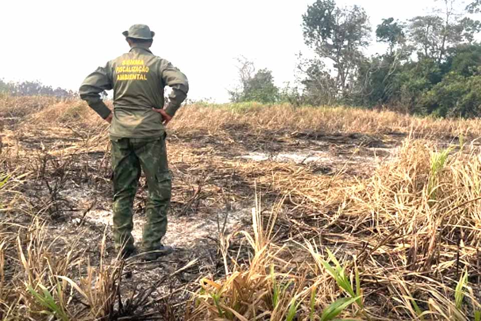 Brasil reduz 70% da área queimada no primeiro trimestre de 2025