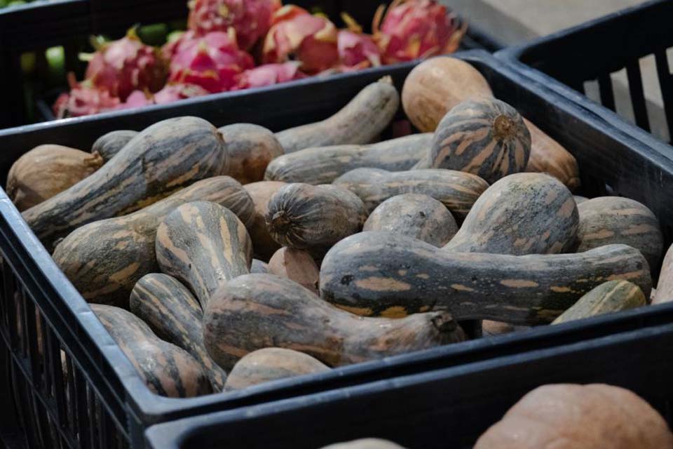 Vilhena anuncia investimento de R$ 100 mil em Programa de Aquisição de Alimentos