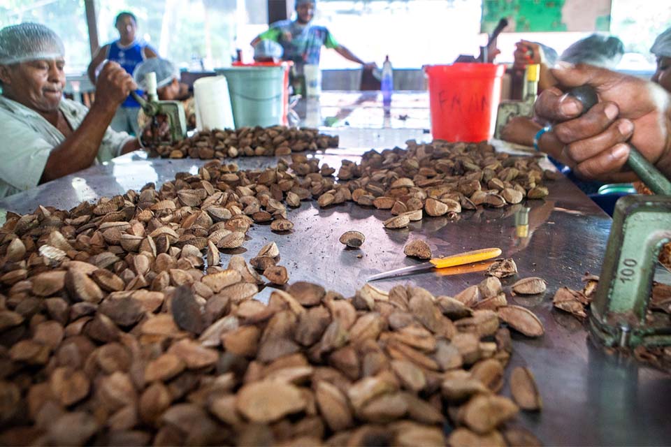 Governo estuda modelo de desenvolvimento pela sociobioeconomia
