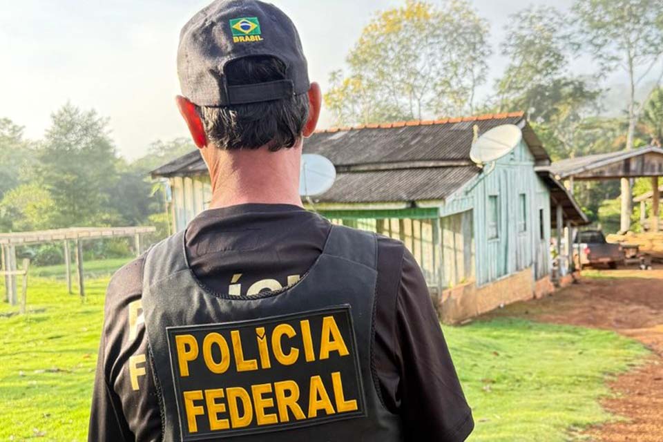 PF deflagra operação em combate a extração ilegal de madeira em Terras Indígenas
