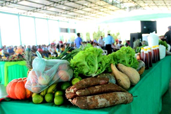 Campanha busca engajamento para reduzir desperdício de alimento
