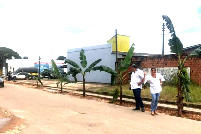 Como forma de protesto, moradores plantam bananeiras na Rua São Luís