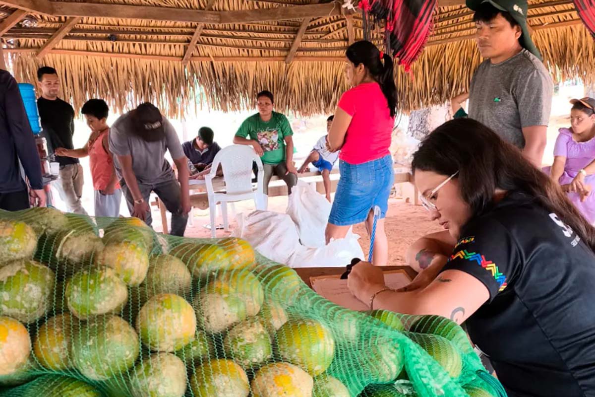 Segurança alimentar e geração de renda são impulsionadas em comunidade indígena por meio do PAA