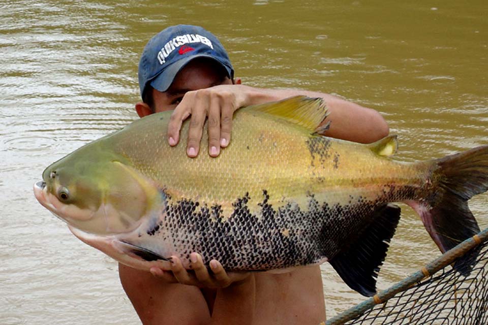 Banco da Amazônia prevê investimentos acima de R$ 2 bilhões para o desenvolvimento de Rondônia