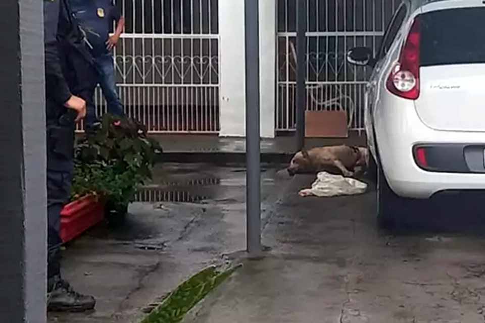 Pitbull é abatido ao entrar em residência e matar cachorro em Porto Velho