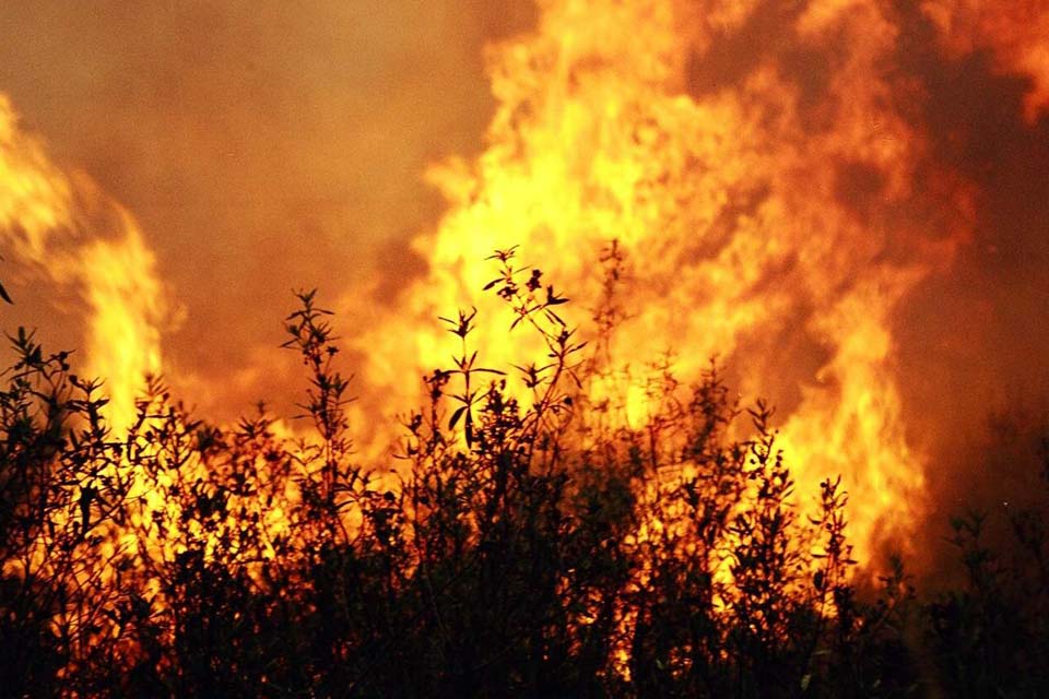 Queimadas: Rede de Monitoramento apoiada pelo MP aponta inadequação na qualidade do ar na Capital