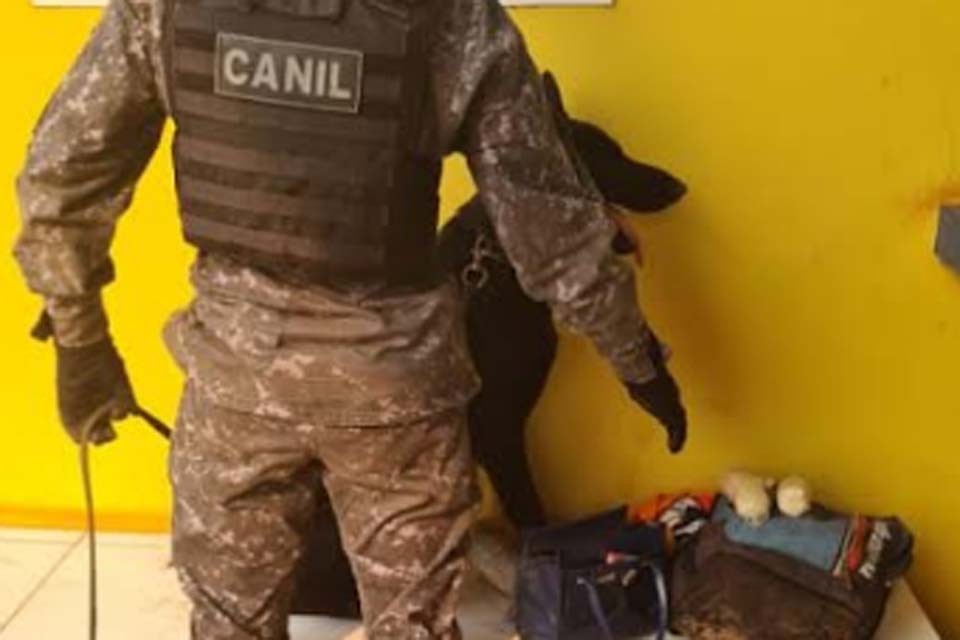 Cão do Batalhão de Choque encontra cocaína com passageira em ônibus 