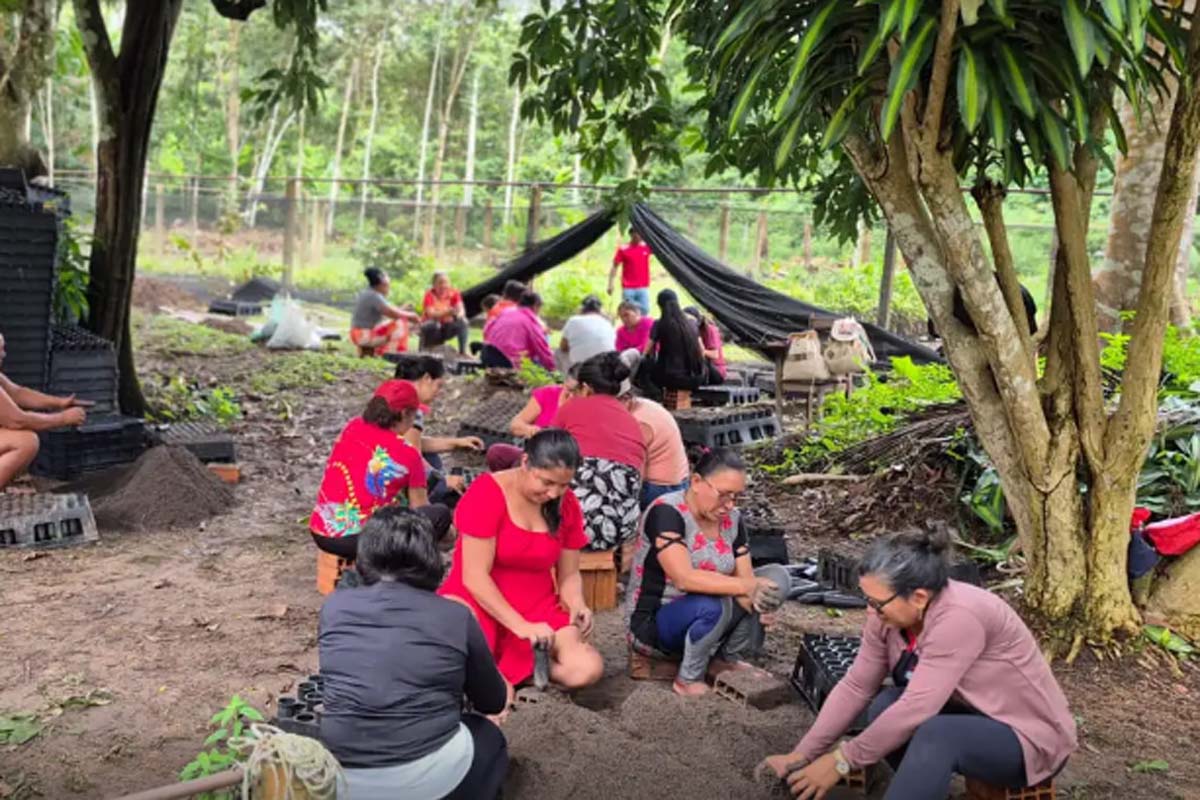 Mulheres da Amazônia se unem para enfrentar as mudanças climáticas