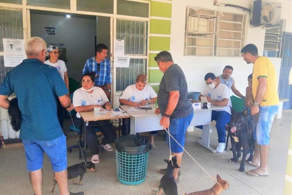 Primeira etapa da vacinação antirrábica imuniza cerca de 4 mil cães no município