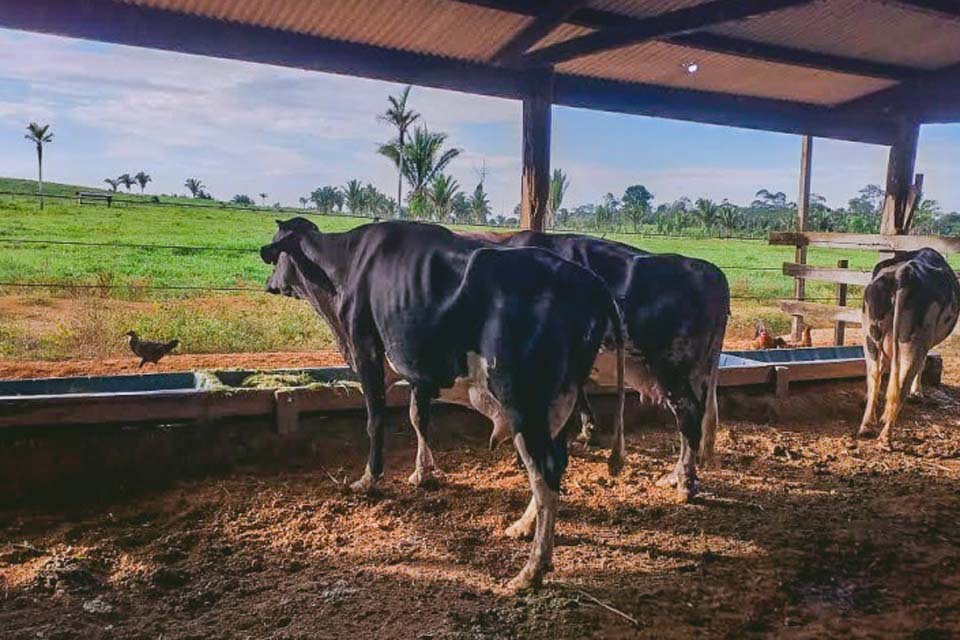 Serviço de Inspeção Municipal traz garantia de qualidade aos produtos de origem animal
