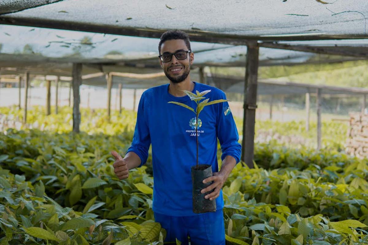 Jaru Mais Verde: além da doação de mudas, Prefeitura também realizará plantio de árvores em frente às residências