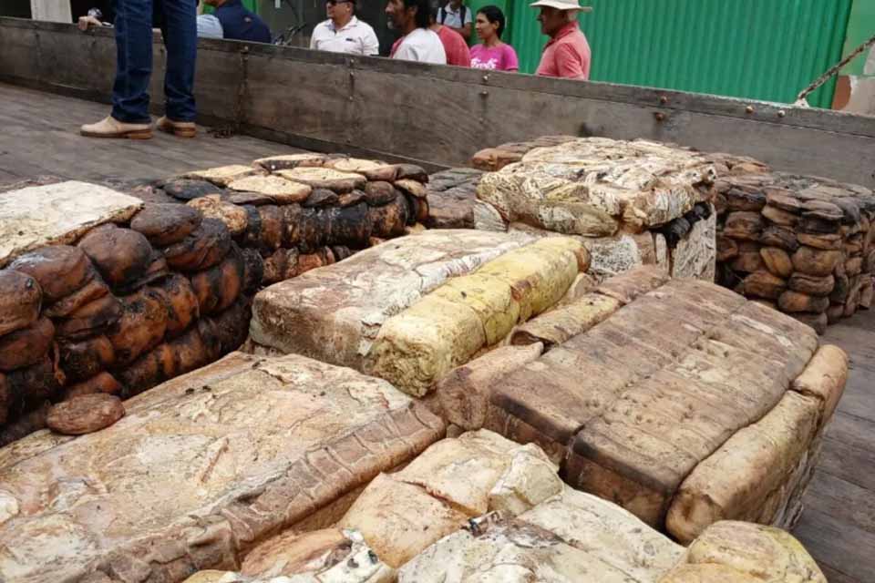 Extrativismo sustentável é impulsionado pelo governo de RO com comercialização de borracha em Unidades de Conservação