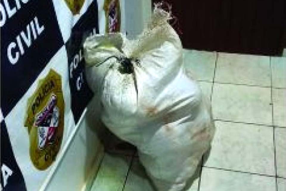 Polícia Militar apreende 20 kg de maconha e prende dois suspeitos na linha 09