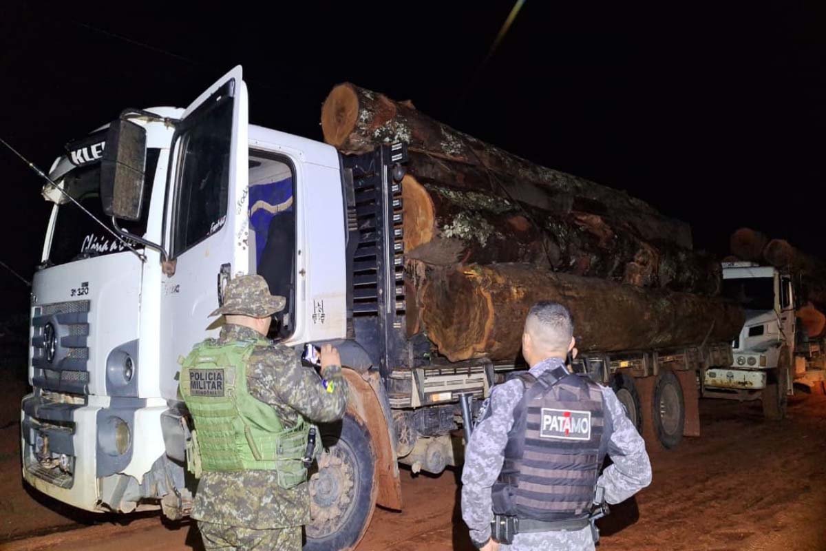 Forças integradas localizam comboio com caminhões carregados de madeira