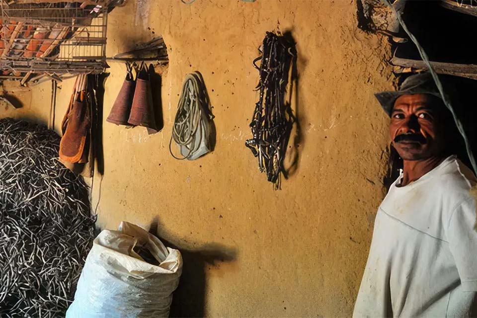 Fundação Palmares certifica comunidades no Ceará e em Minas