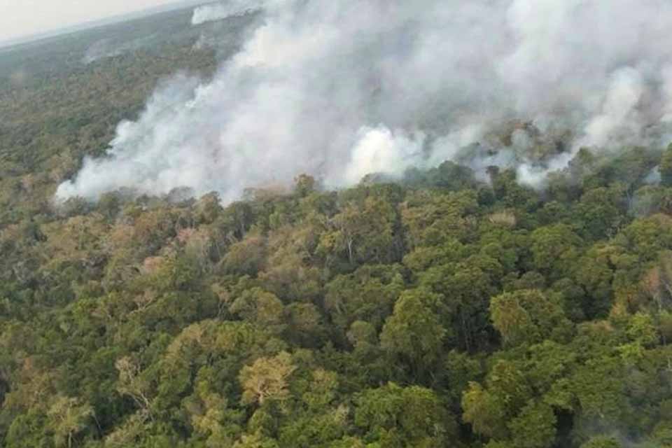Professora quilombola relata prejuízo de R$ 200 mil após queimadas de 2024 em Rondônia