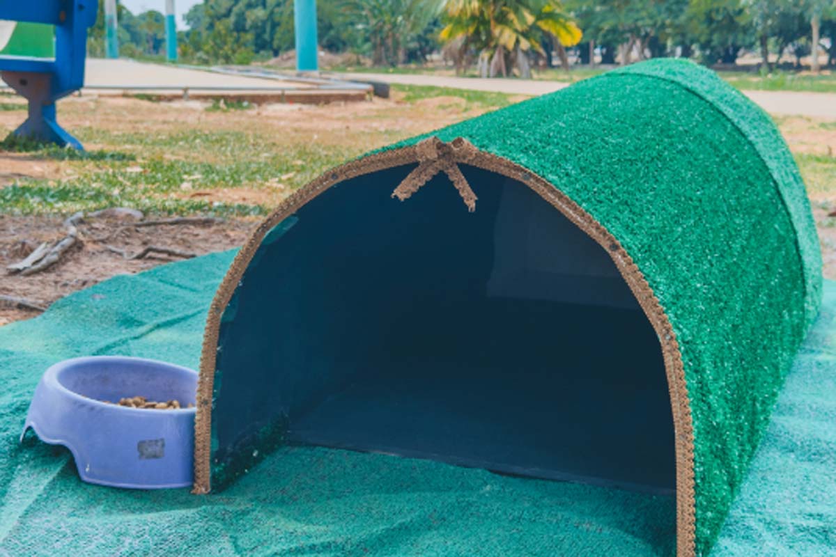 Prefeitura de Porto Velho instala abrigos para gatos em espaços públicos
