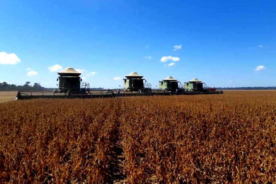 Prefeito comemora aquecimento da economia no município, maior produtor de soja do Estado