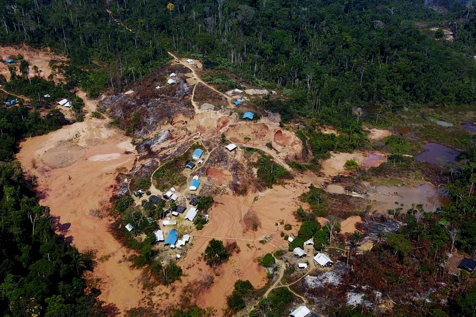  Retirada de garimpeiros ilegais da Terra Indgena Yanomami  prioridade