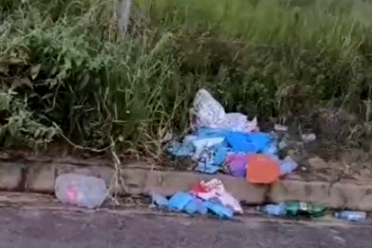 Moradores denunciam abandono de terrenos e invasão de animais peçonhentos