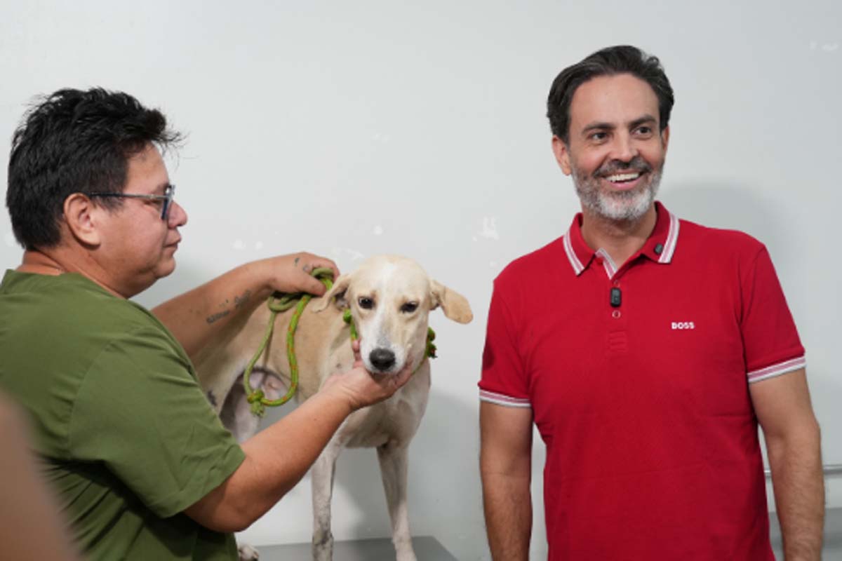 Cão que esperou tutor na porta de hospital é resgatado 