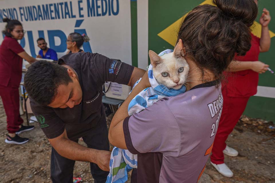 Vacinação antirrábica acontece neste sábado, no 2º distrito