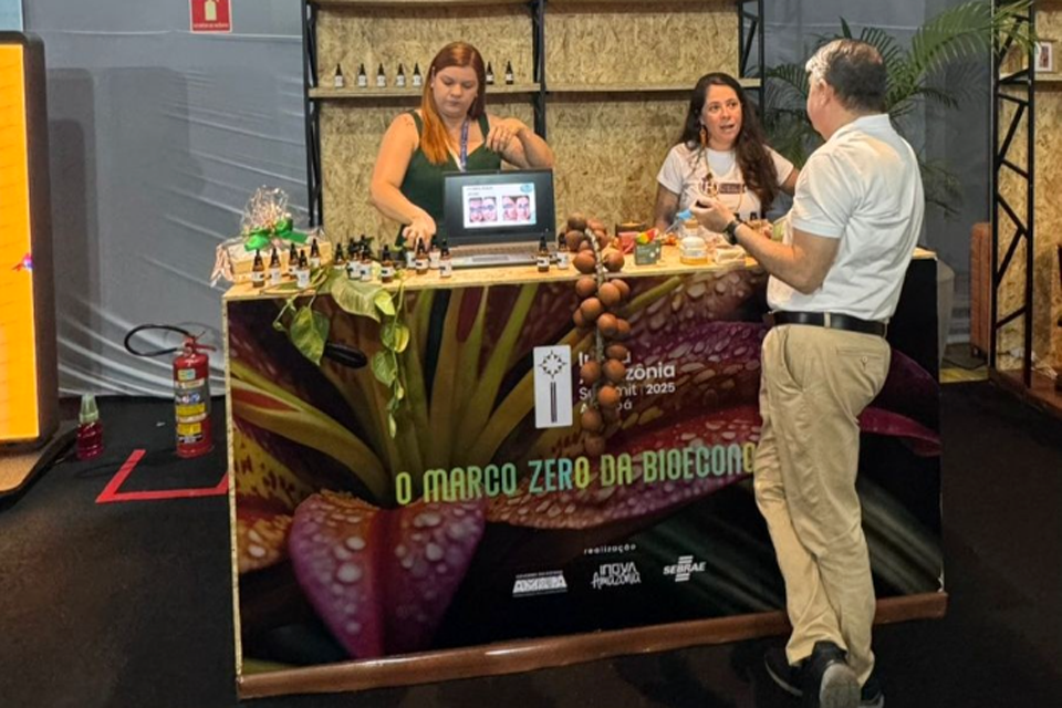 Empresárias de Rondônia são selecionadas em programa de inovação voltado à bioeconomia amazônica