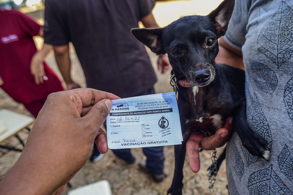 UVZ reforça campanha de vacinação antirrábica em cães e gatos