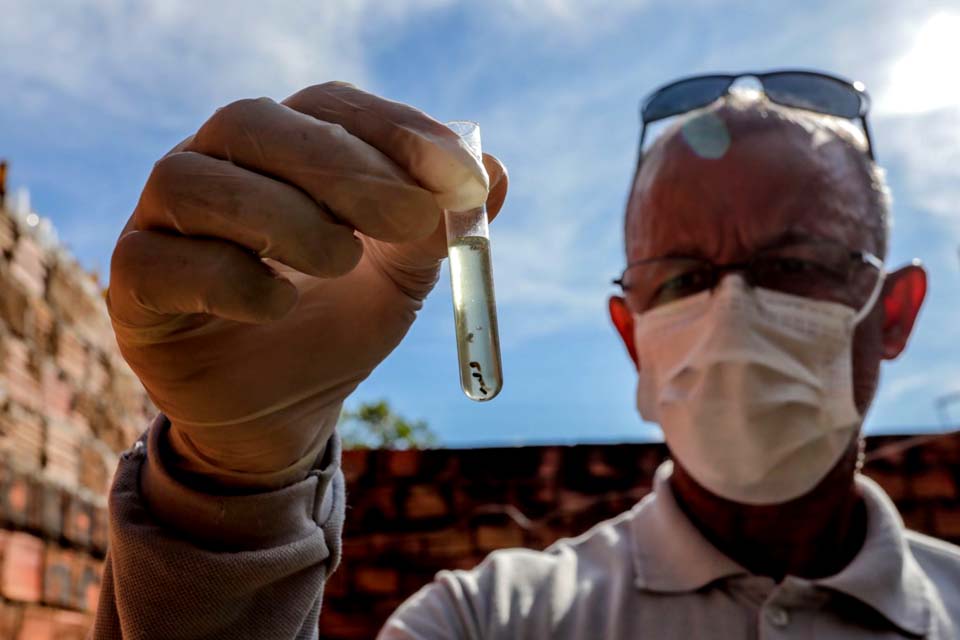 Porto Velho registra redução nos casos de dengue nos primeiros meses de 2023