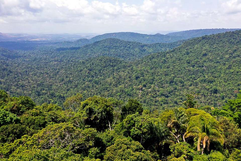 Amazônia: redução da pobreza e do desmatamento podem coexistir