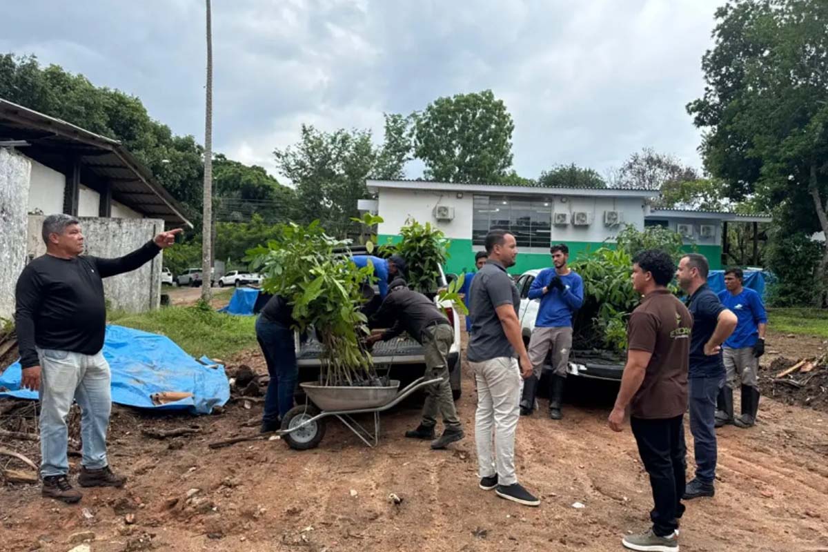 Viveiro de produção de mudas nativas fortalece recomposição florestal e impulsiona recuperação ambiental em Rondônia
