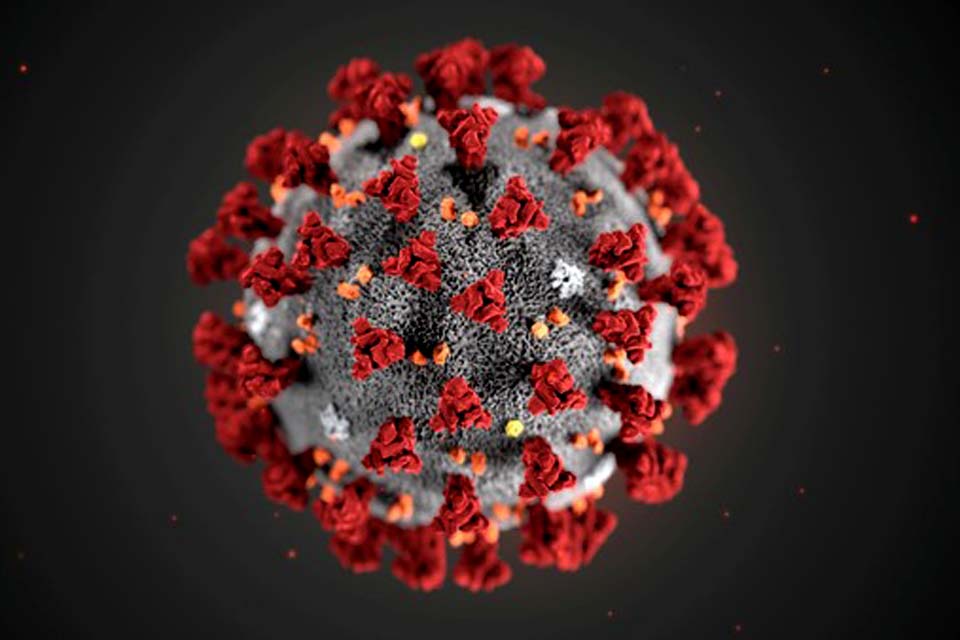  Revista científica chama de 'fraca' resposta de Bolsonaro à Covid-19