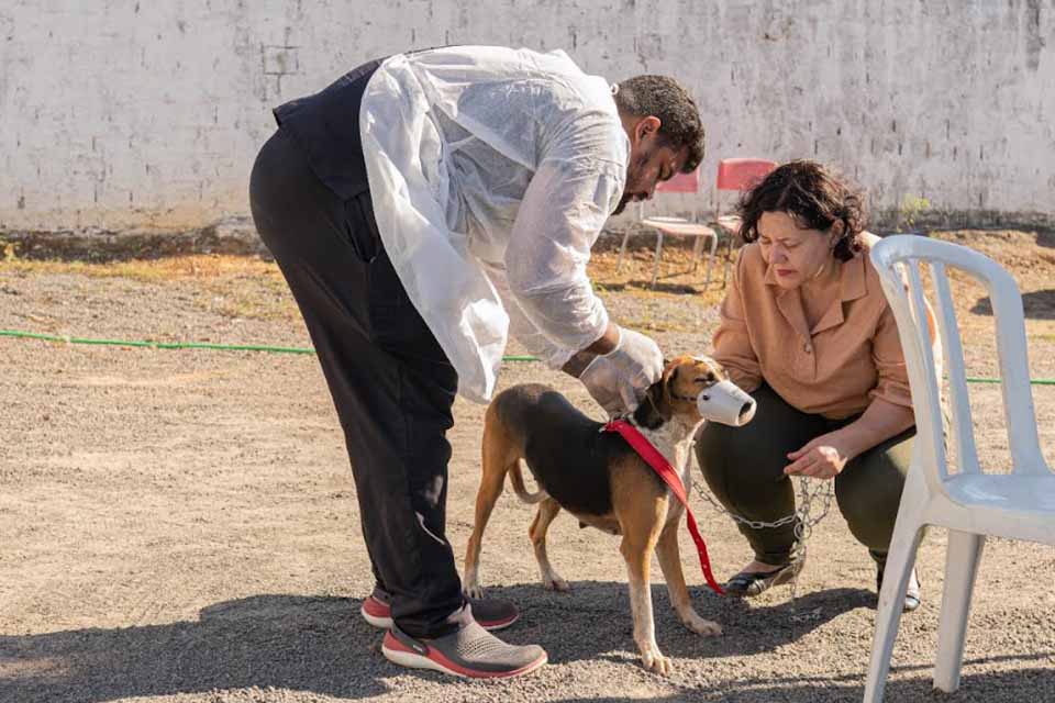 Atendimentos do programa “Castra Mais Rondônia” começam a ser realizados em Jaru