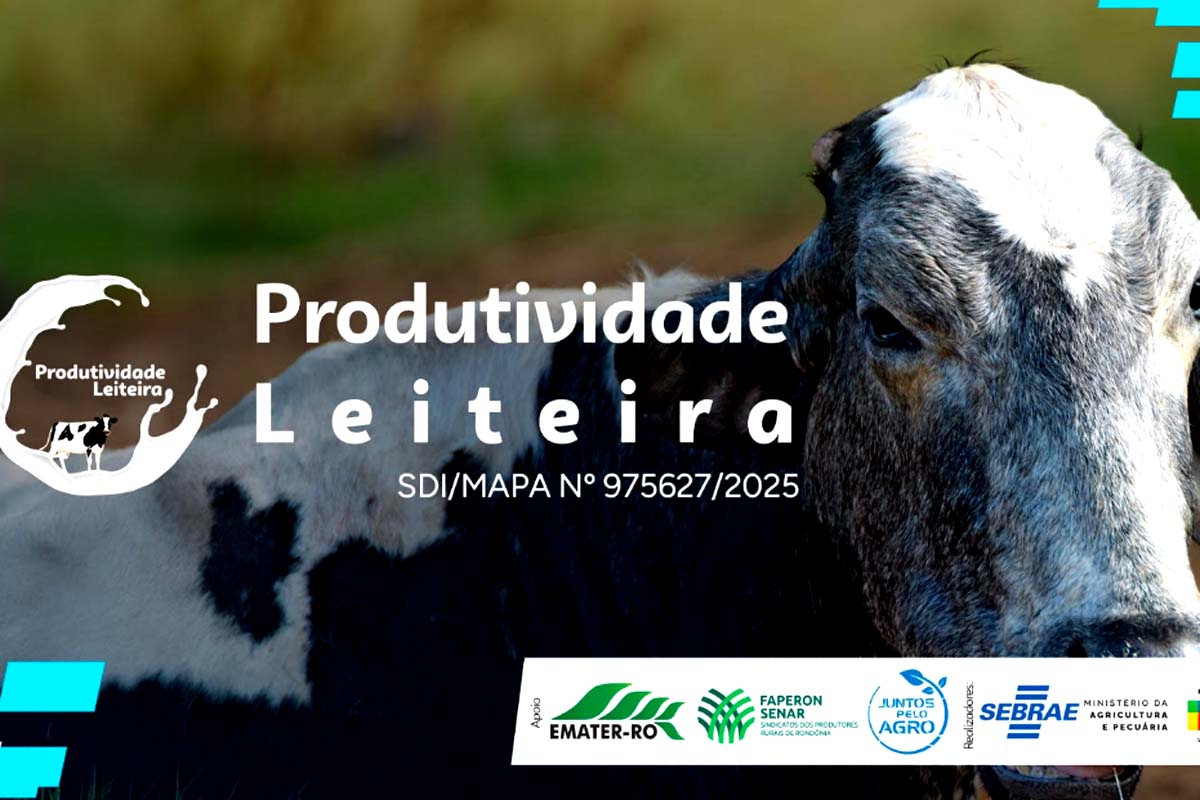 Sebrae em Rondônia lança Projeto de Produtividade Leiteira em Ariquemes