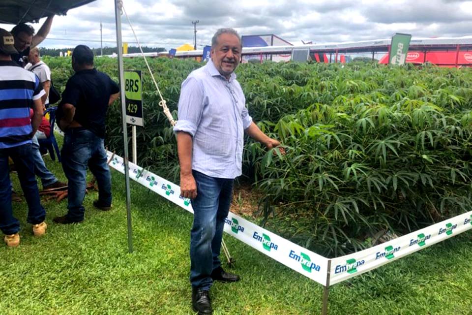 Semagric busca tecnologia para alavancar a produção de mandioca em Porto Velho