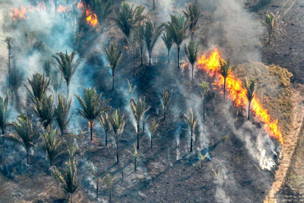 Fenômeno natural El Niño aumenta risco de queimadas durante a estiagem em Porto Velho