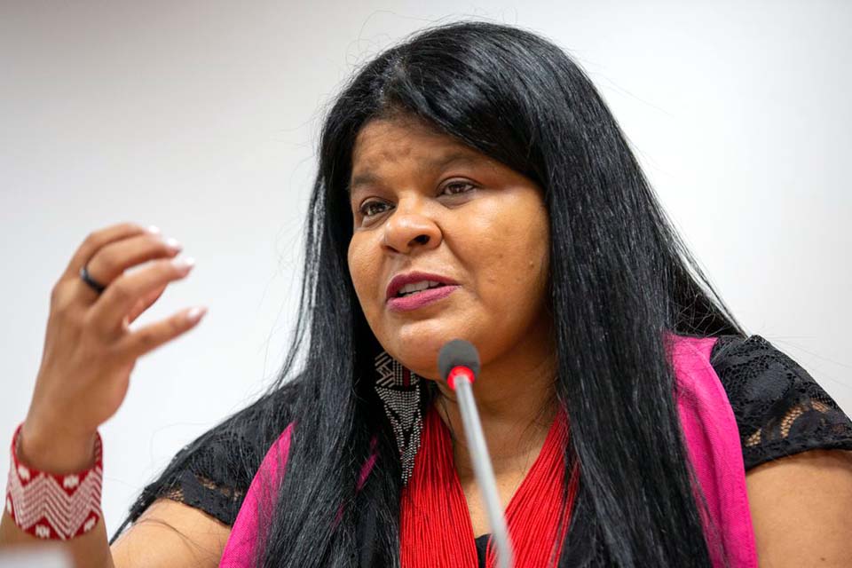 Ministra diz que ainda há garimpeiros ilegais em TI Yanomami