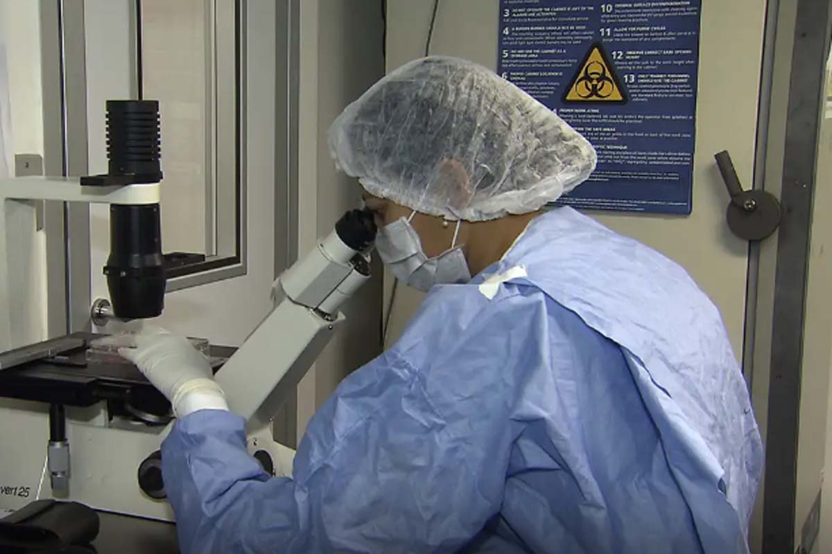Saiba como cientistas 