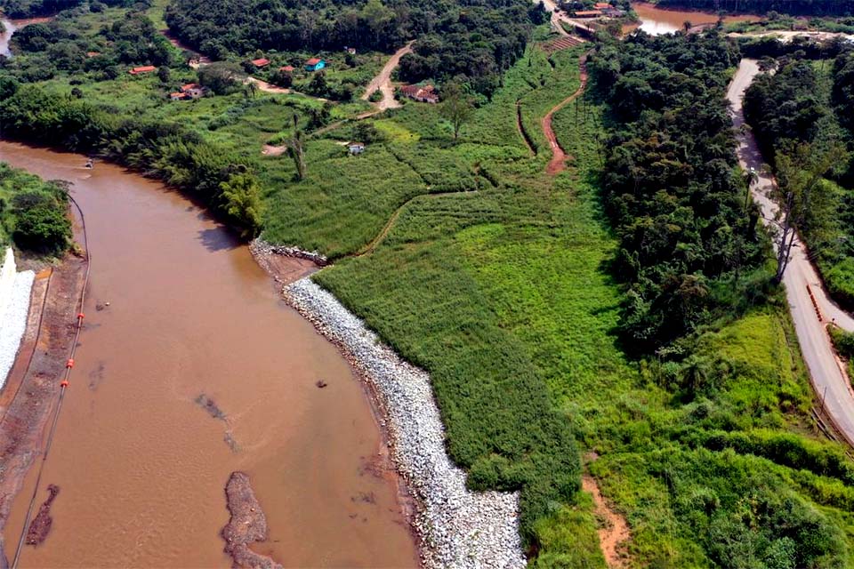 Reflorestamento em Brumadinho usa técnicas inéditas, mas só atingiu 1%