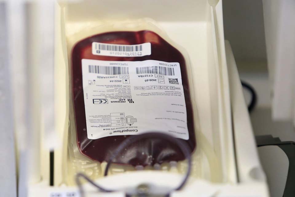 Casos de covid-19 e de gripe diminuem doações de sangue no DF