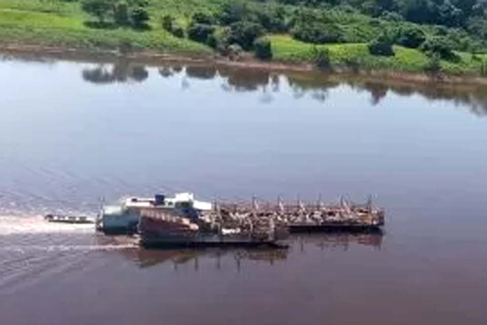 De Pimenteiras a Guajará-Mirim, fiscalização aérea intensifica controle sanitário nas fronteiras