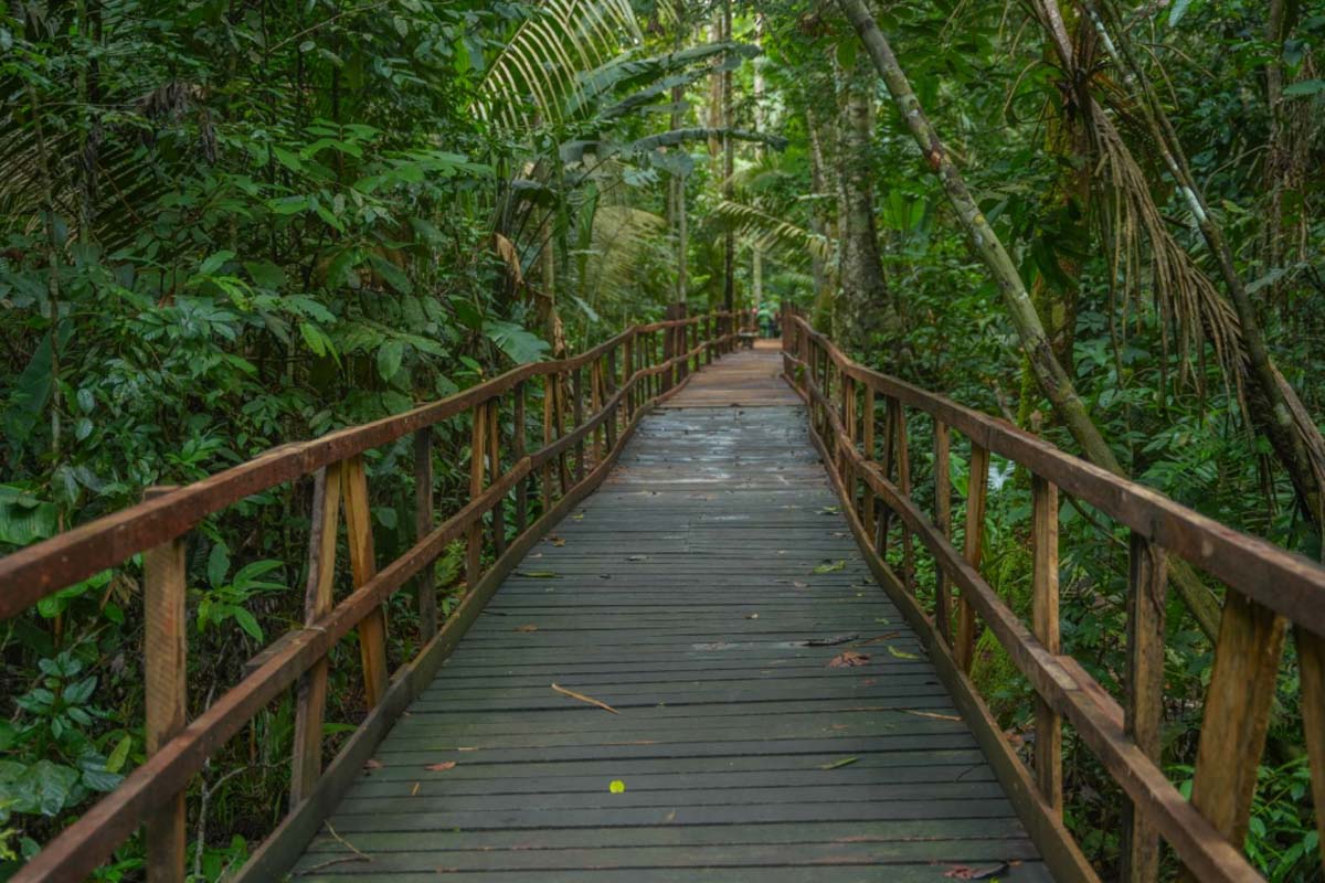 Parque Natural em Porto Velho vira referência de lazer e contato com a natureza